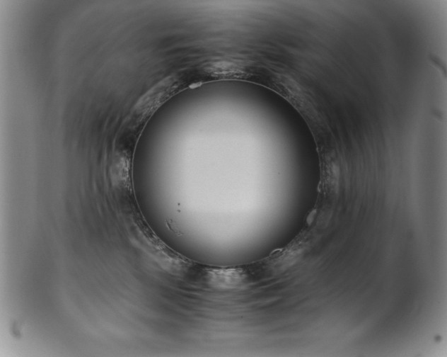 X0000101680281200807171419