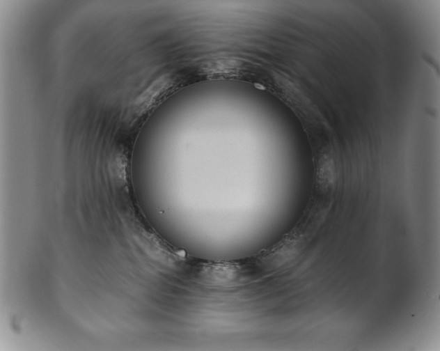 X0000101680282200807171419