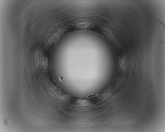 X0000101680283200807171419