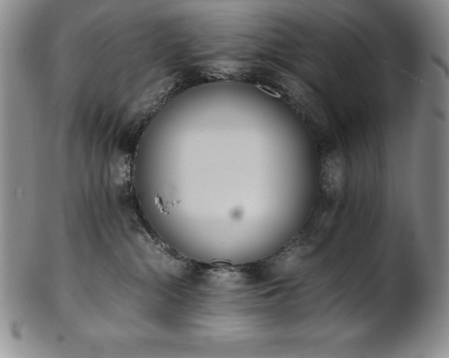 X0000101680284200807171419