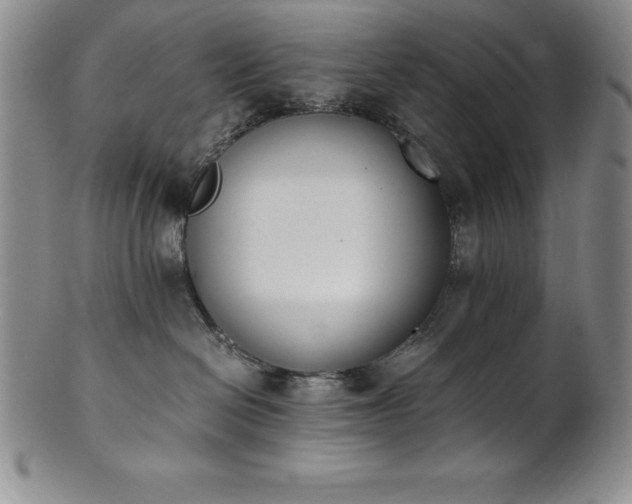 X0000101680286200807171419