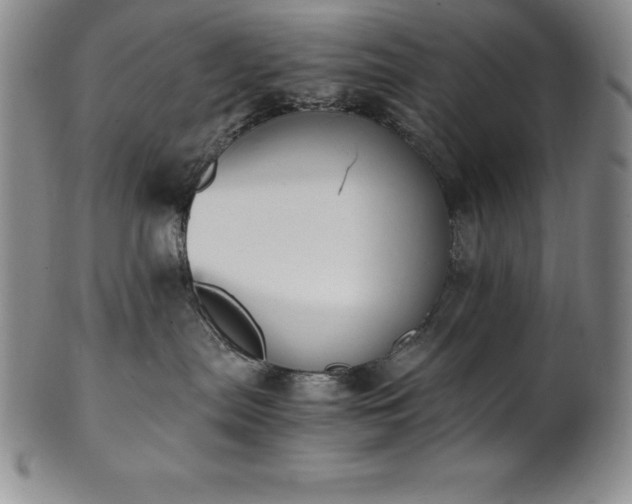 X0000101680287200807171419