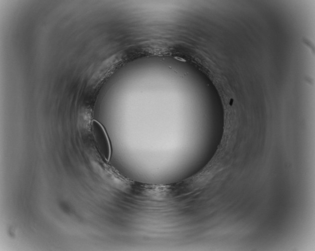 X0000101680288200807171419