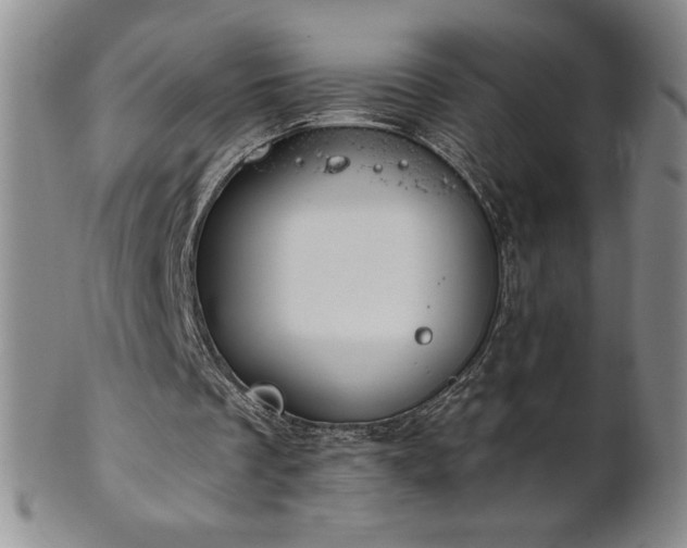 X0000101680289200807171418