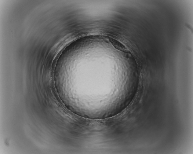 X0000101680290200807171418