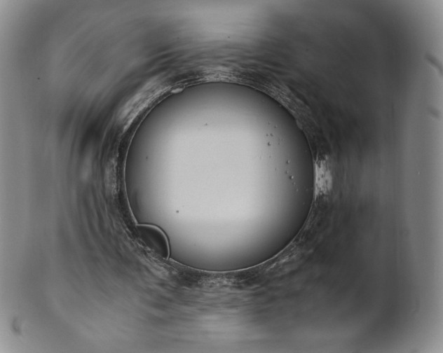 X0000101680291200807171418