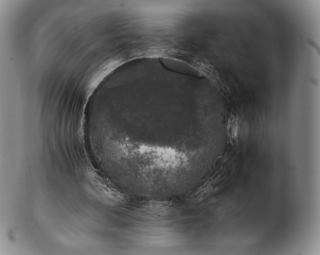 X0000101680292200807171418