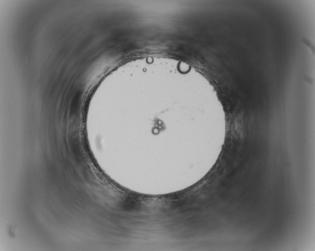 X0000101680293200807171418