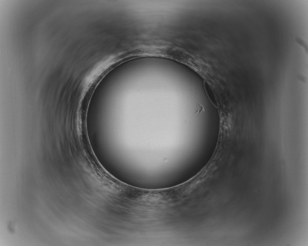 X0000101680294200807171418