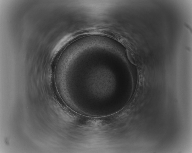 X0000101680295200807171418