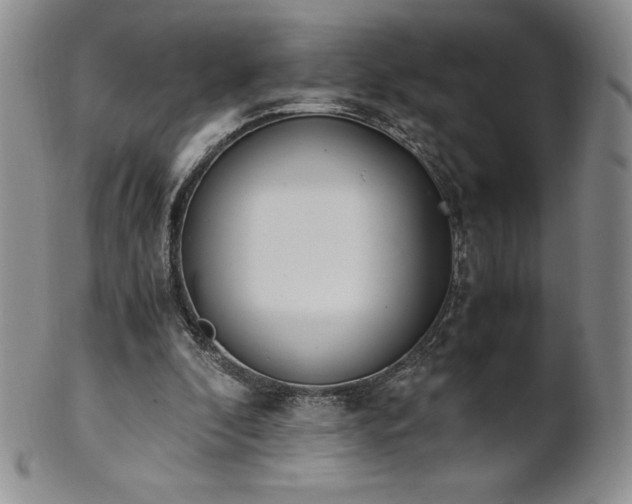 X0000101680296200807171418