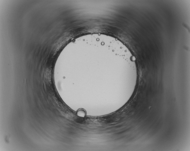 X0000101680297200807171418