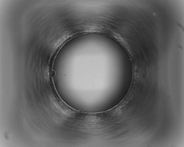 X0000101680298200807171418