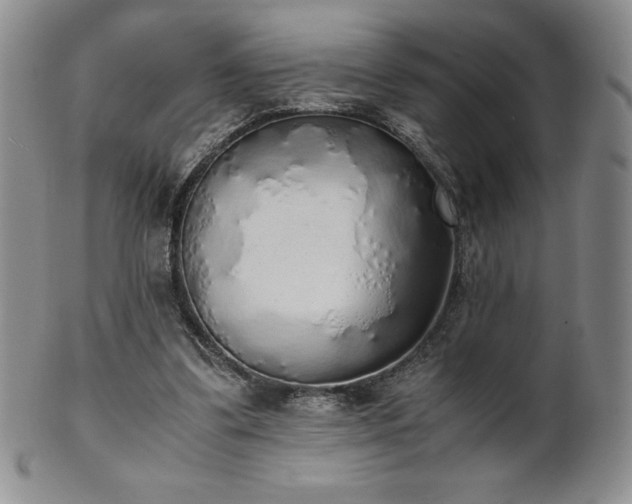 X0000101680299200807171418