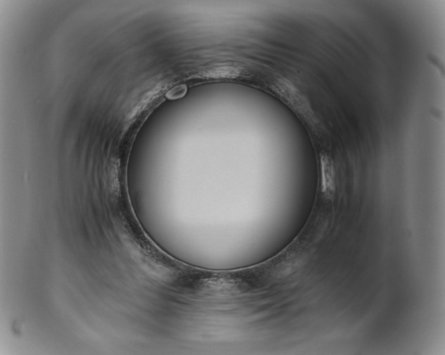 X0000101680300200807171418