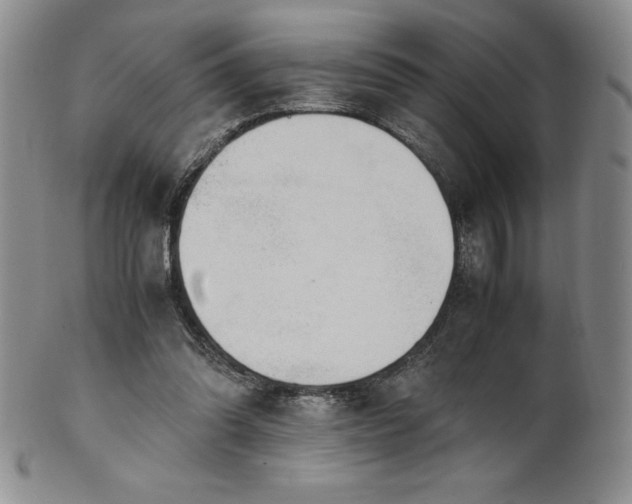 X0000101680302200807171418