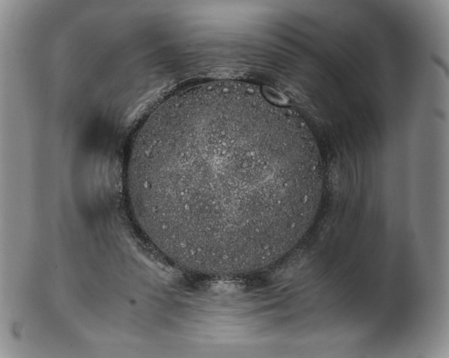 X0000101680303200807171418