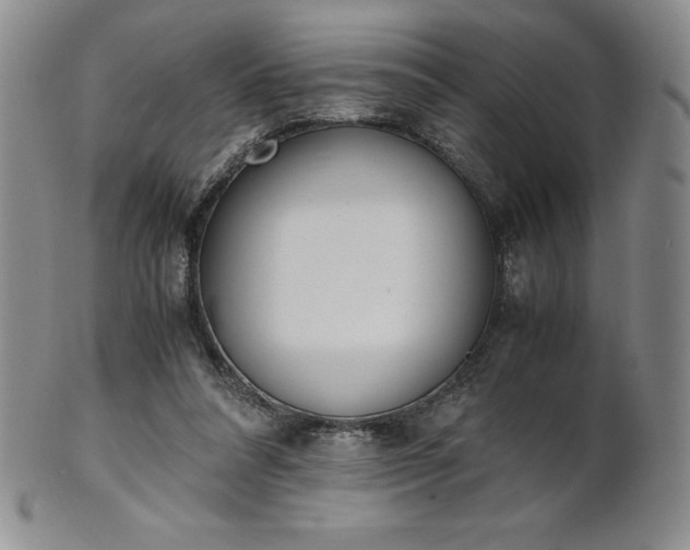 X0000101680304200807171418