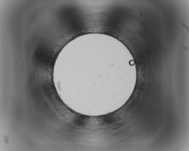 X0000101680305200807171418