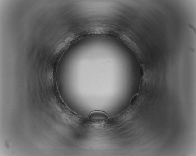 X0000101680306200807171418