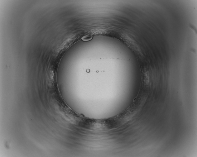 X0000101680308200807171418