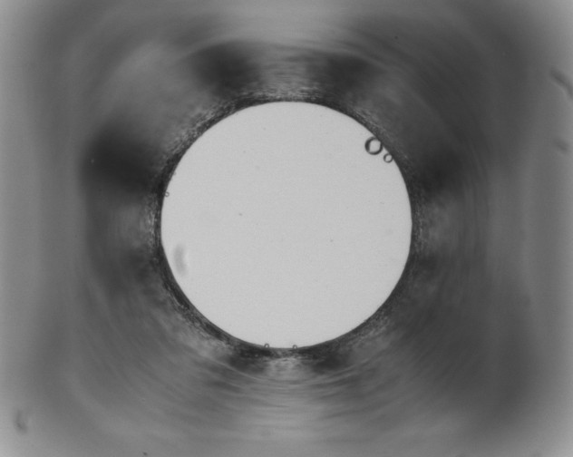 X0000101680309200807171418