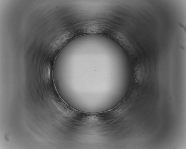 X0000101680310200807171418