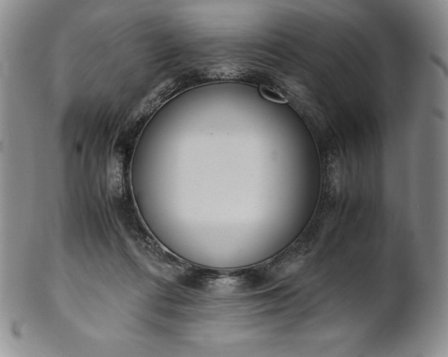 X0000101680312200807171418