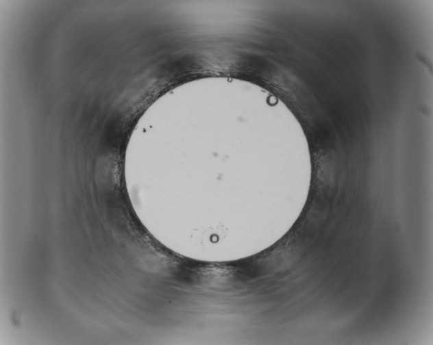 X0000101680313200807171418