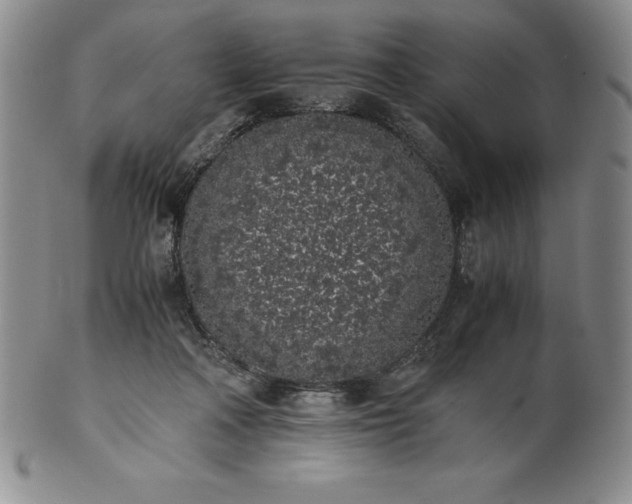 X0000101680314200807171418