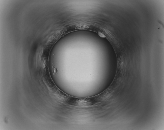 X0000101680315200807171418