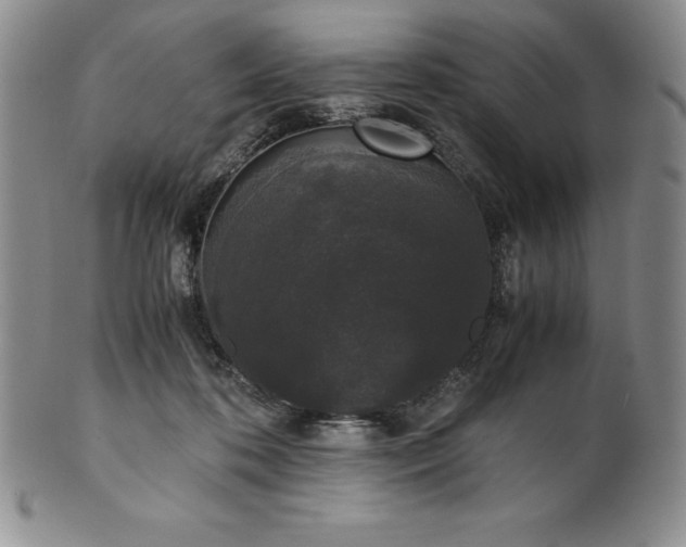 X0000101680316200807171418