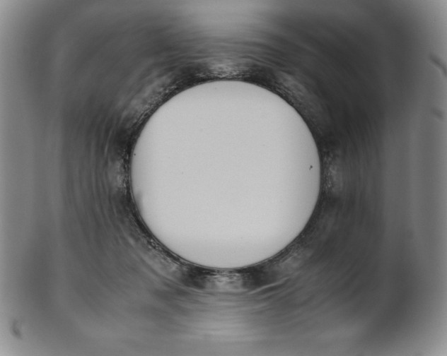 X0000101680317200807171418