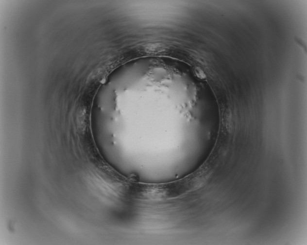 X0000101680319200807171418