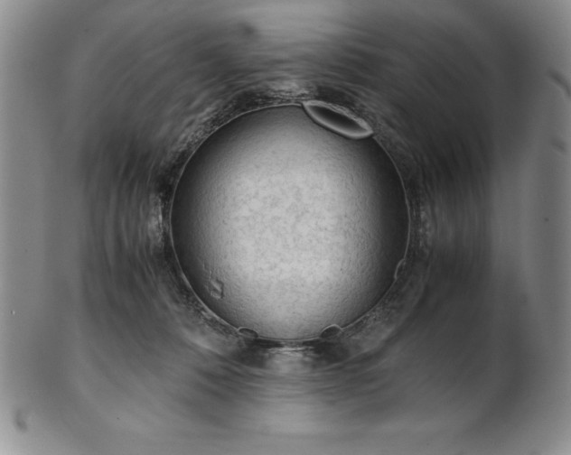 X0000101680320200807171418