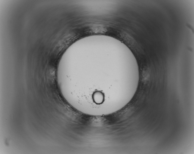 X0000101680321200807171418