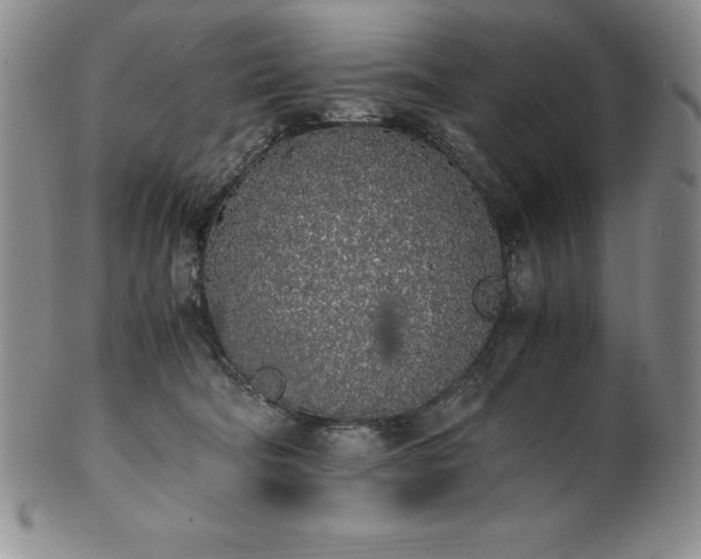 X0000101680322200807171418