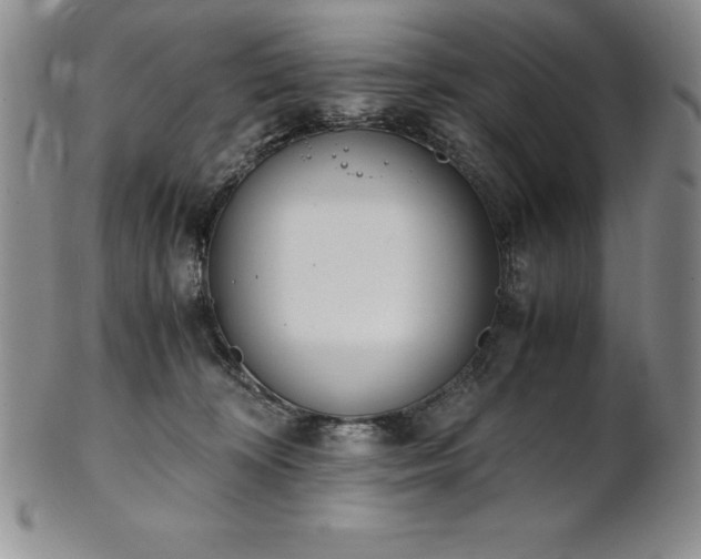 X0000101680324200807171418