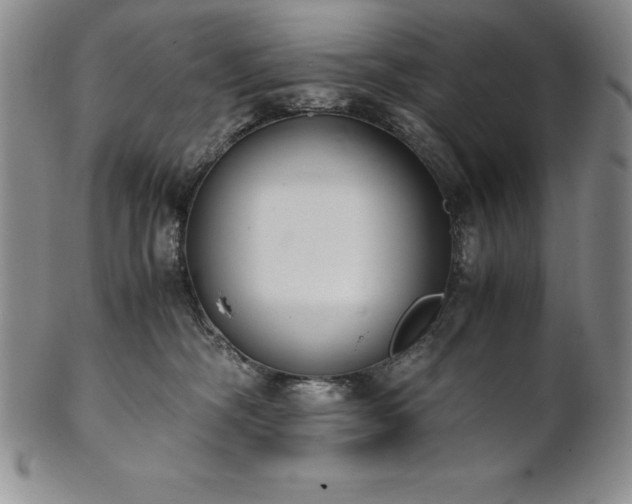 X0000101680326200807171418