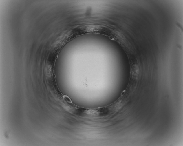 X0000101680327200807171418