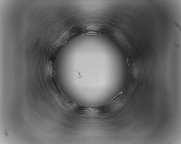 X0000101680328200807171418