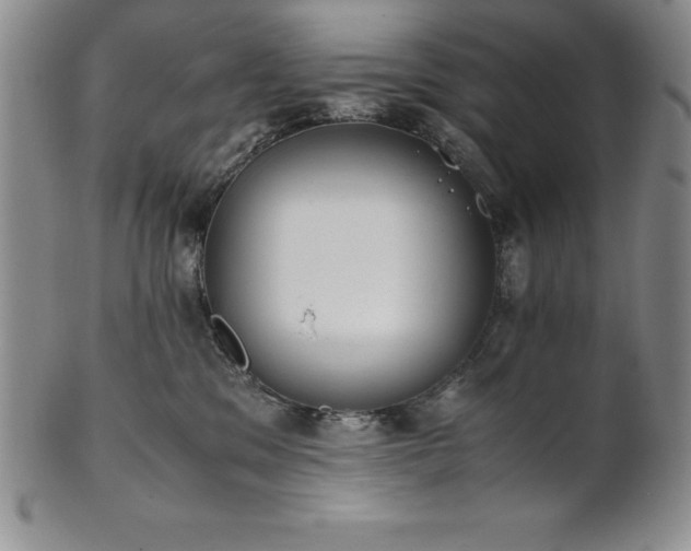 X0000101680329200807171418