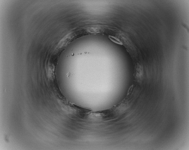 X0000101680332200807171418