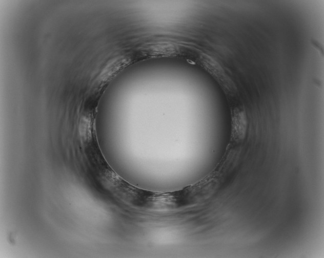 X0000101680333200807171418