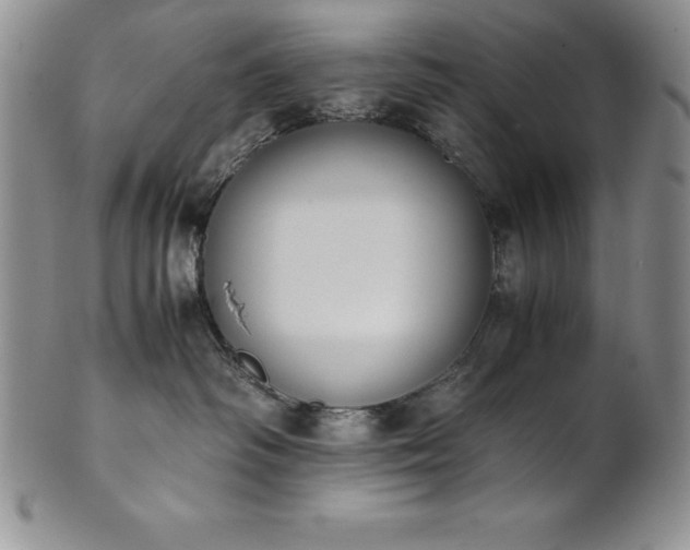 X0000101680334200807171418