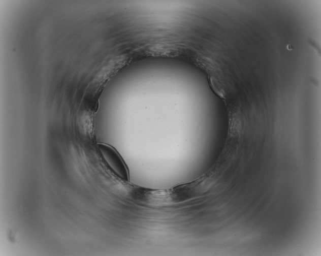 X0000101680335200807171418