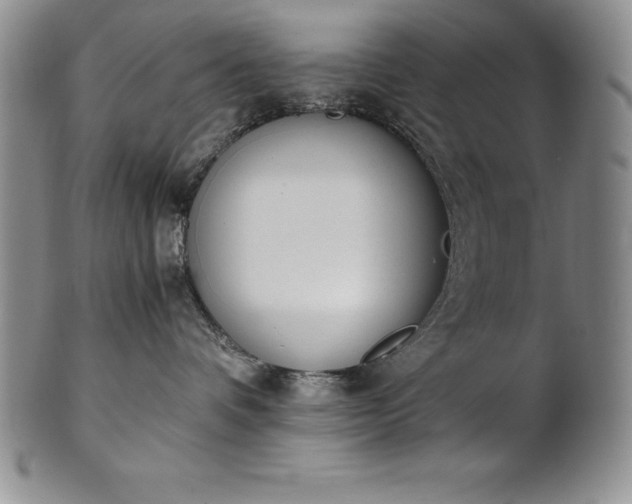 X0000101680336200807171418