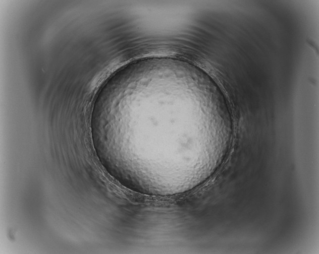 X0000101680337200807171417