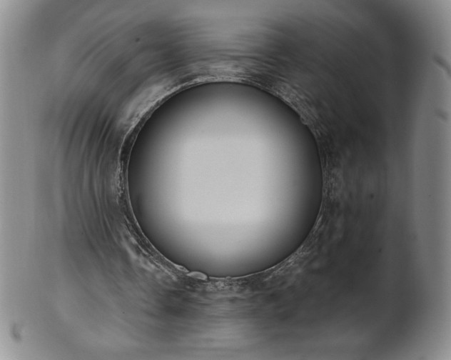 X0000101680338200807171417