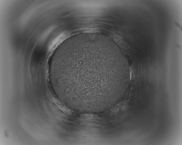 X0000101680339200807171417